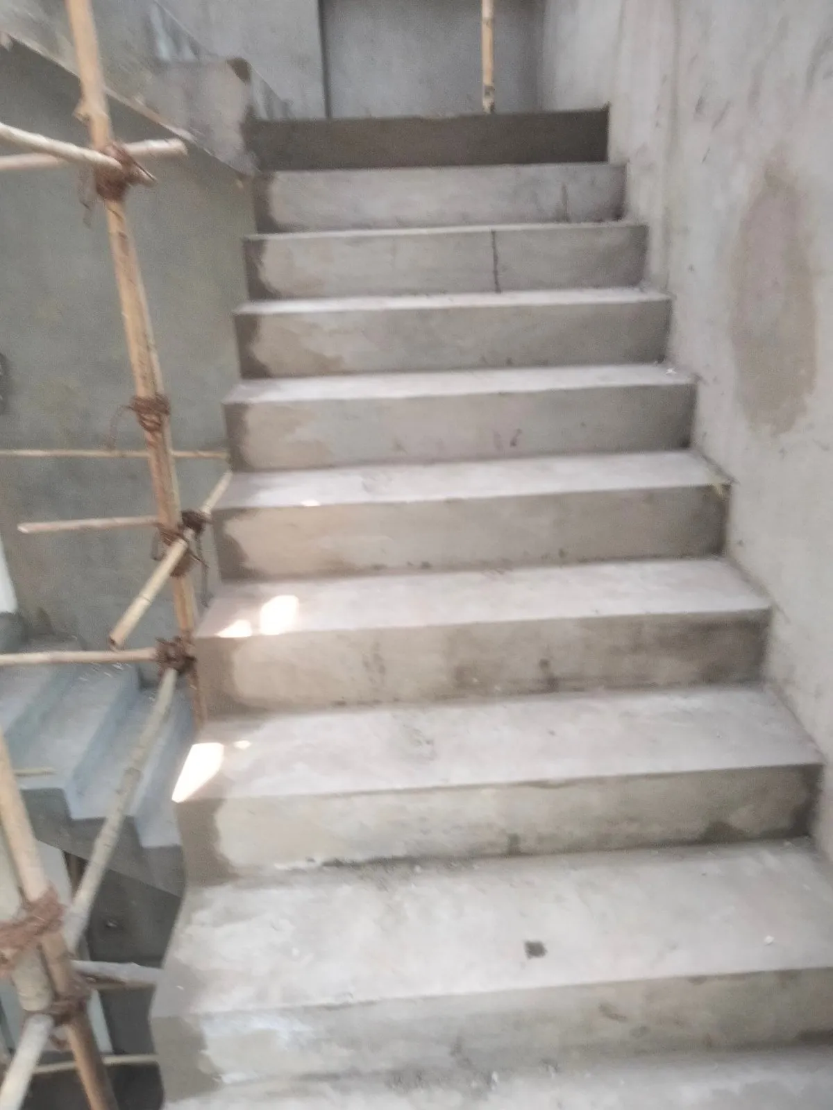 Zai Project, photo 17 of 36